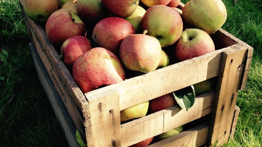 Hoćemo li izvoziti jabuke u Rusiju - znat će se nakon ruske kontrole