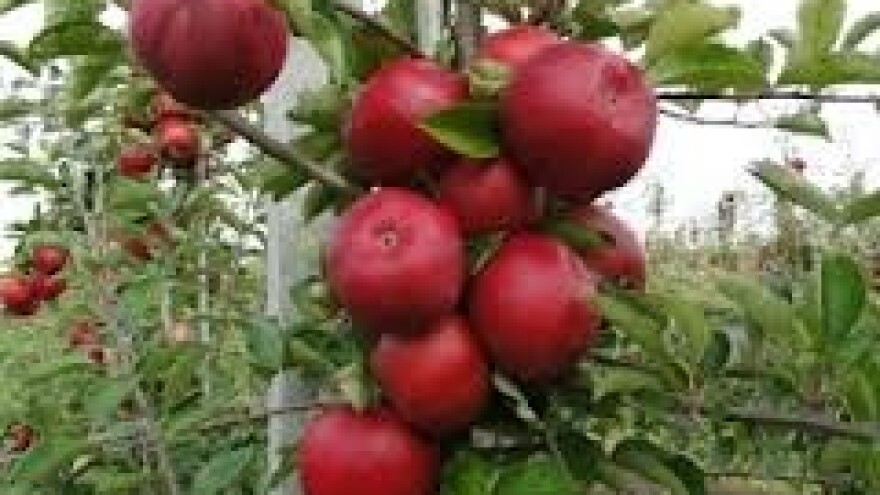 Hoće li i danas u okolici Zagreba biti tuče?