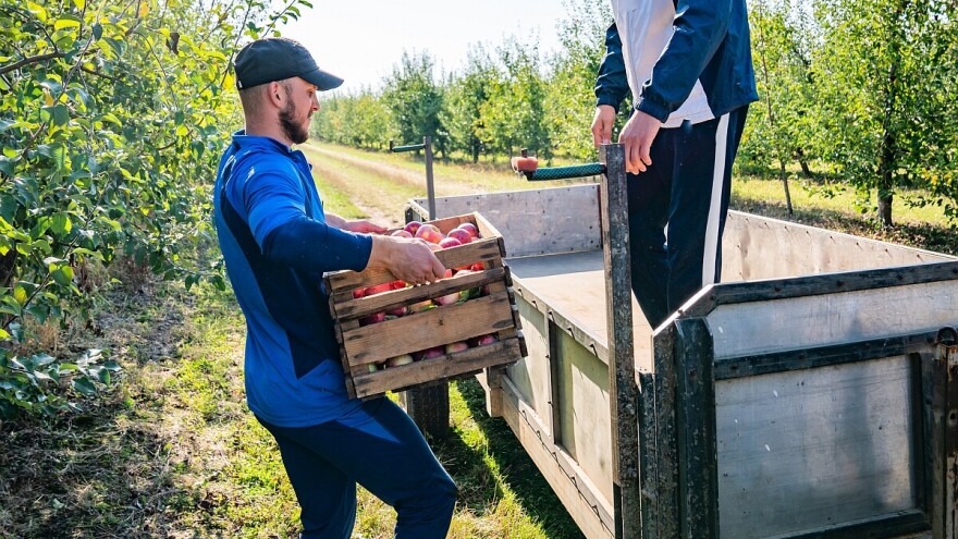 Proizvođačke organizacije jačaju položaj poljoprivrednika u lancu snabdevanja hranom