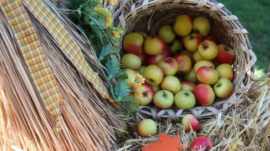 15. privredno-kulturna manifestacija Dani jabuke Goražde okupit će oko 100 izlagača
