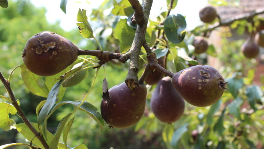 Mijenja se iznos potpore za ublažavanje posljedica prirodnih nepogoda