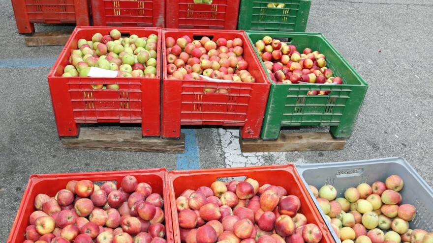 Dojčinović: Certifikate za izvoz ne mogu izdavati općine i entiteti