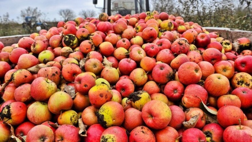 EU tržište čekaju pad cijena i robni viškovi?