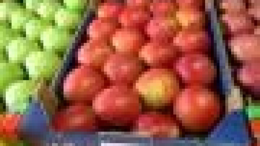 Konferencija o integriranoj proizvodnji voća