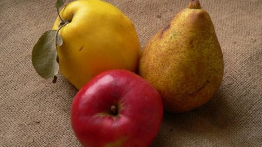 Općina Šodolovci domaćin novosadskog sajma