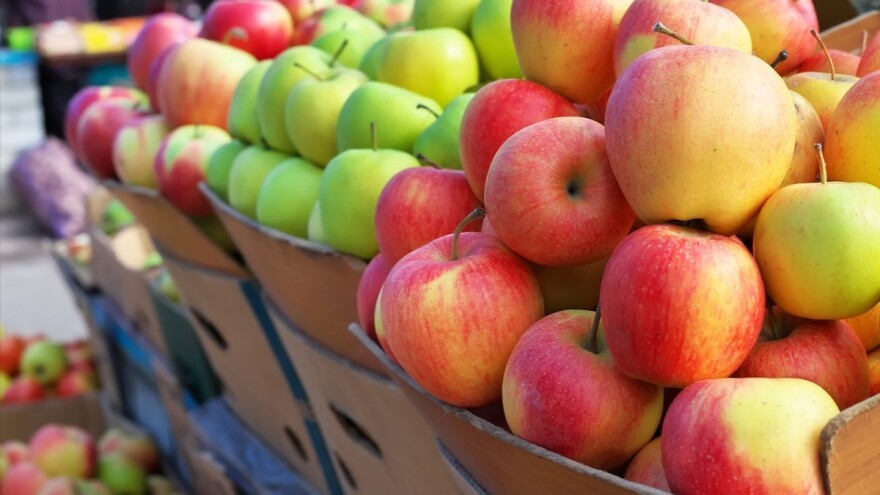 Postignut dogovor s Brazilom - još je samo Rusija na putu BiH za članstvo u WTO