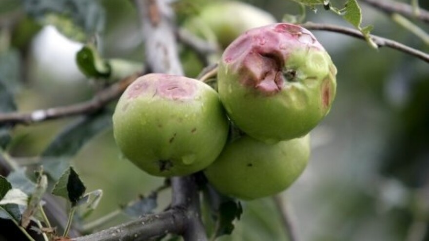 Samo 5 posto od procijenjene štete