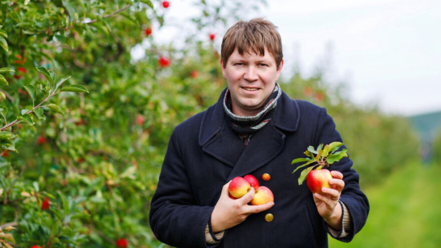 Samo jedan mraz je dovoljan za pad uroda od 95%