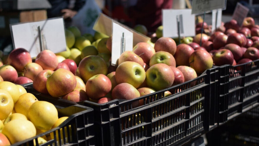 Rusija od sutra opet zabranjuje uvoz jabuka iz BiH