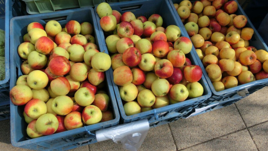 Prve kruške i jabuke izvezene za Rusiju