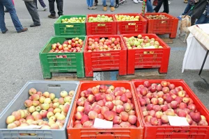 Ministarstvo briše "Frukt kompani" sa liste izvoznika u Rusiju
