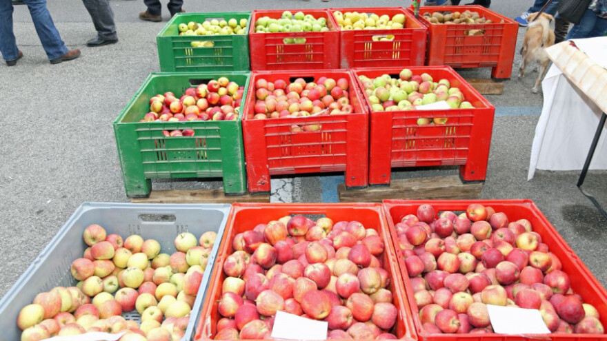 Ministarstvo briše "Frukt kompani" sa liste izvoznika u Rusiju