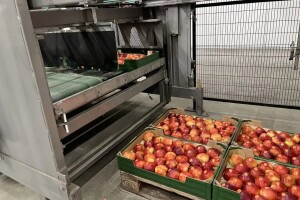 5 razloga zašto kupiti rabljenu poljoprivrednu opremu