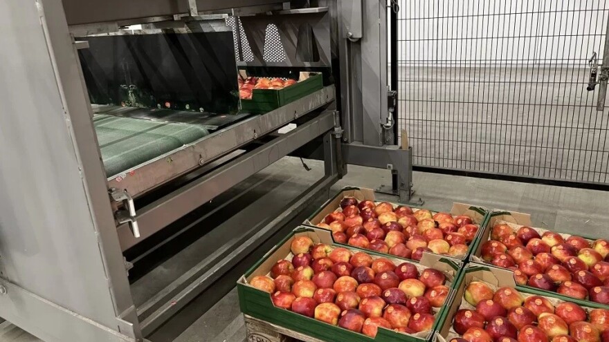 5 razloga zašto kupiti rabljenu poljoprivrednu opremu