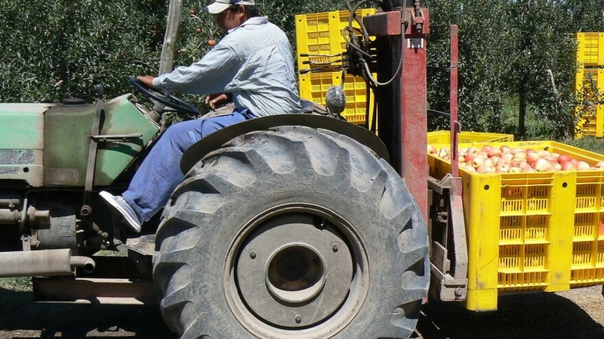 Global G.A.P. važan certifikat za proizvođače, no u Hrvatskoj ga ima tek oko 130 njih