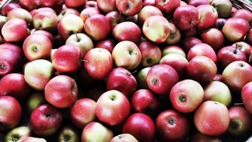 Rusi našli opasnu štetočinu u jabukama iz Srbije