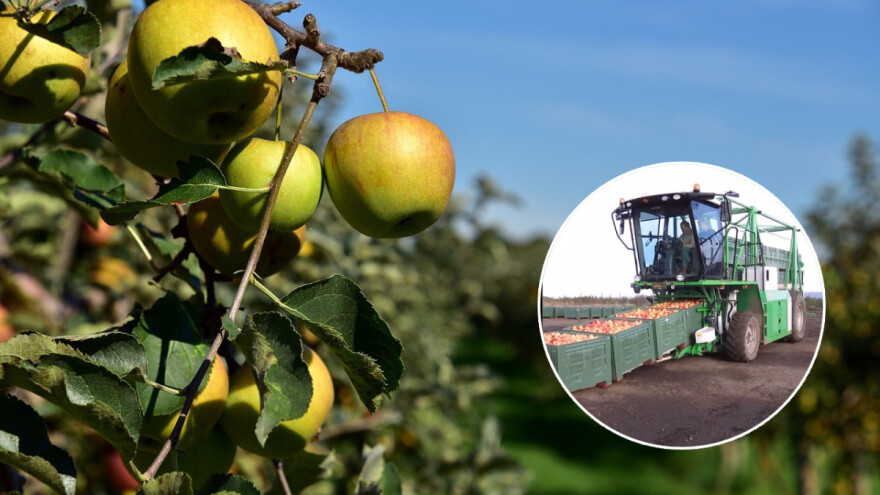 Mašina KT20 za transport sanduka voća štedi do 75% vremena od klasičnog transporta