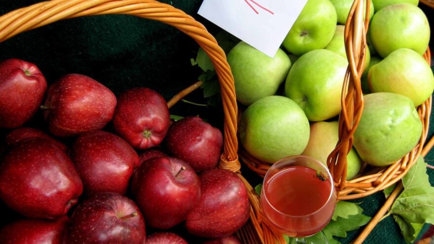 Moguće proizvesti 100 tona jabuka po hektaru?