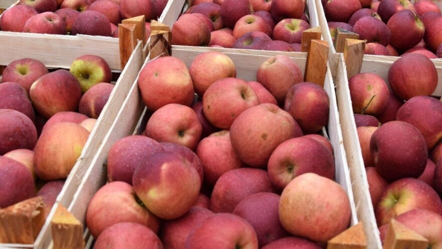 Hrvatska napravila iskorak po pitanju smanjenja rasipanja hrane