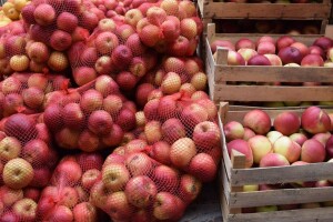 Ugovori potpisani, izgradnja Regionalnog distribucijskog centra može krenuti