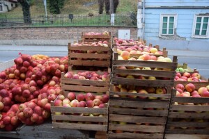 Silva Wendling: Regionalnim distribucijskim centrom želimo potaknuti preradu