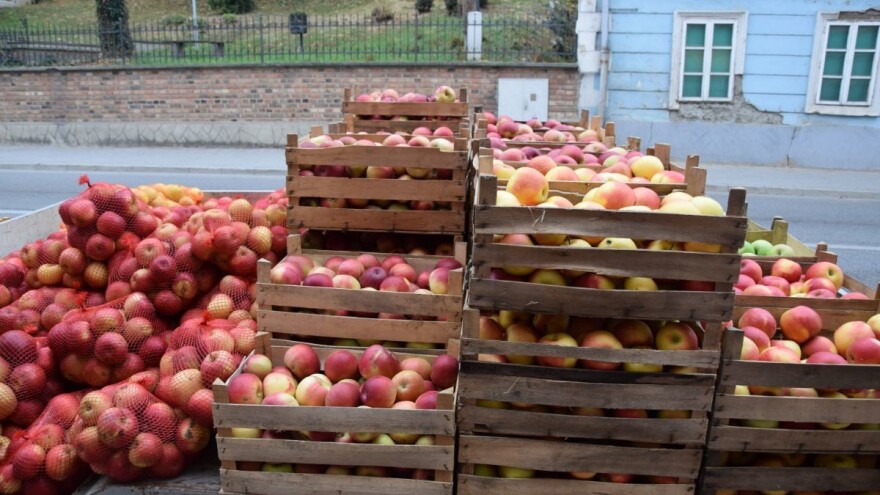 Silva Wendling: Regionalnim distribucijskim centrom želimo potaknuti preradu