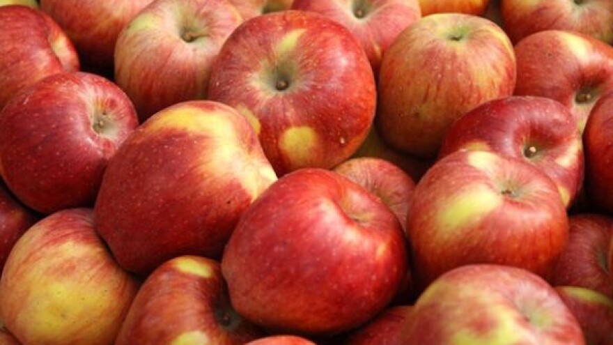 Ne može se živjeti od 25 tona jabuka po hektaru!