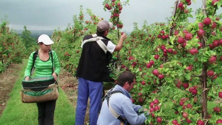 Združeni u uspjehu - učimo od najboljih!