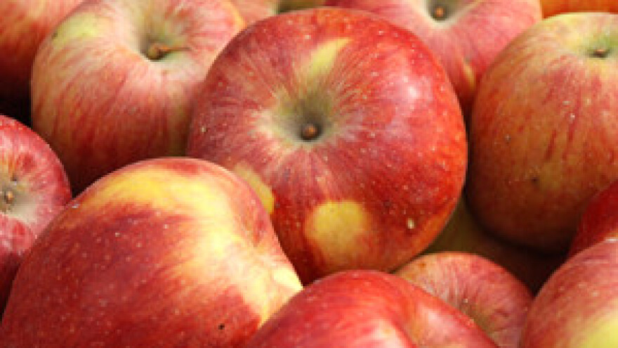 Dani jabuka - Požega 2012.