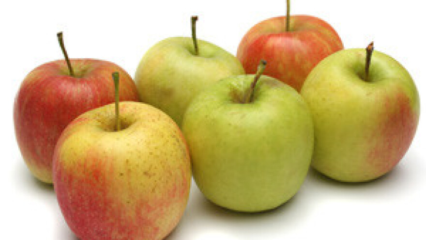 14. Dani voća Koprivničko križevačke županije