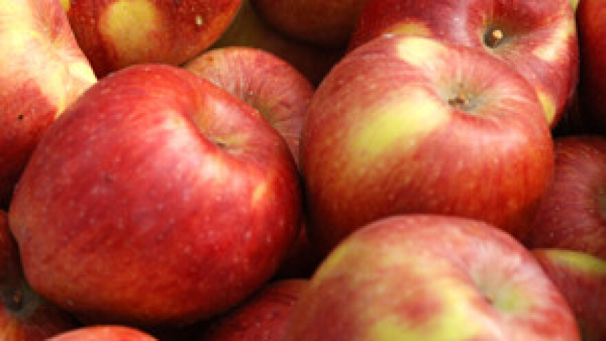 Štete na voću dosegnut će do 900 milijuna kuna