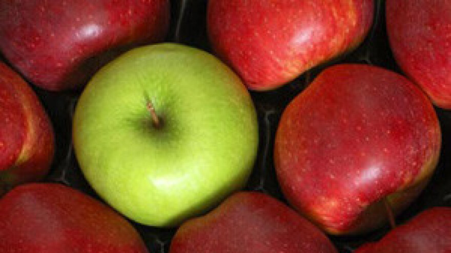 Radionica u sklopu projekta JABUKA.NET 2 na Poljoprivrednom institutu Osijek