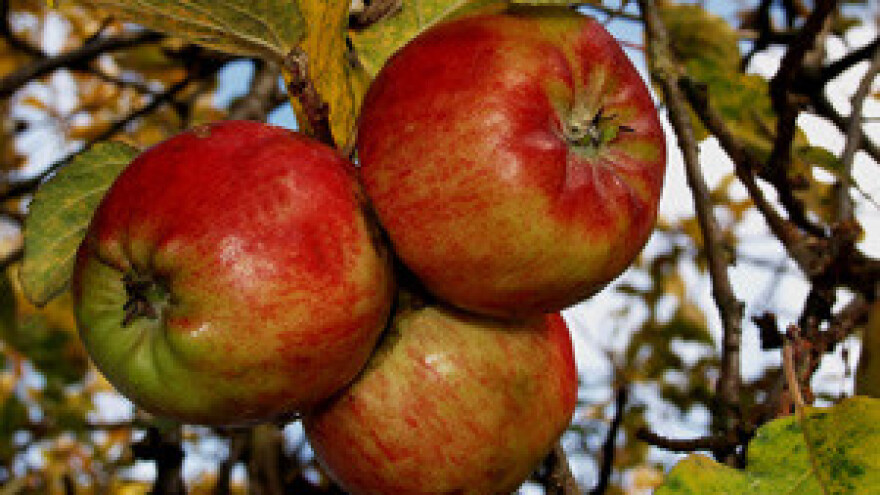 I voćari na prekretnici