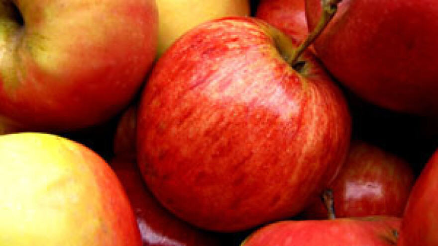 Voćarska radionica u sklopu projekta JABUKA.NET 2 u Srbiji