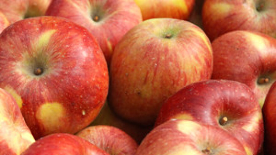 Voćarska radionica u Osijeku