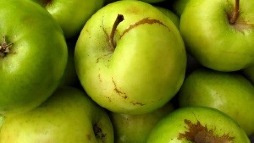 Baca se polovina svjetske hrane