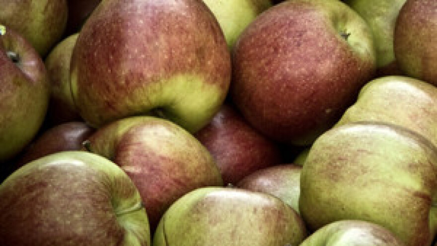 Održani Dani voća Koprivničko-križevačke županije