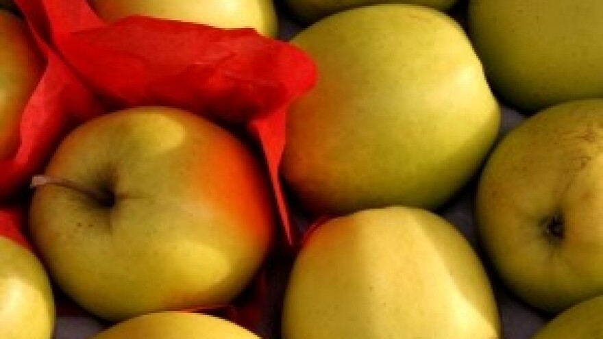 Frutarija će otkupljivati voće za koje ima osiguran plasman