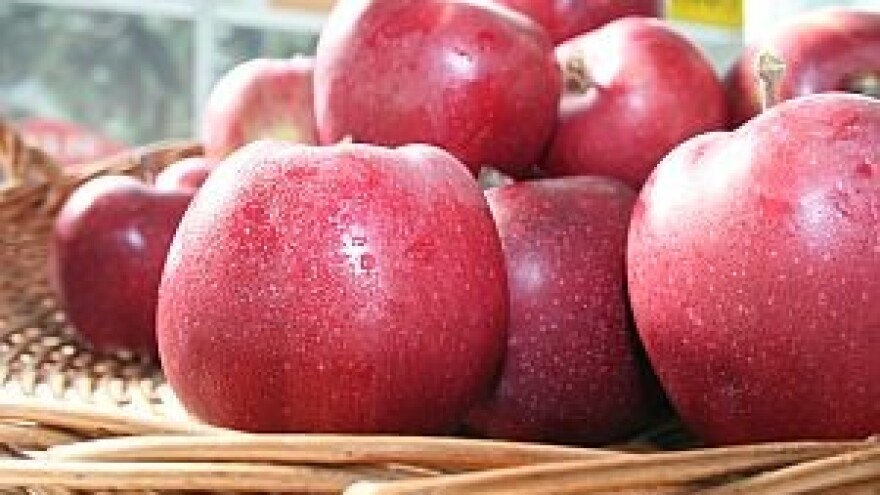 Voćari i otkupljivači neusuglašeni oko cijene jabuka