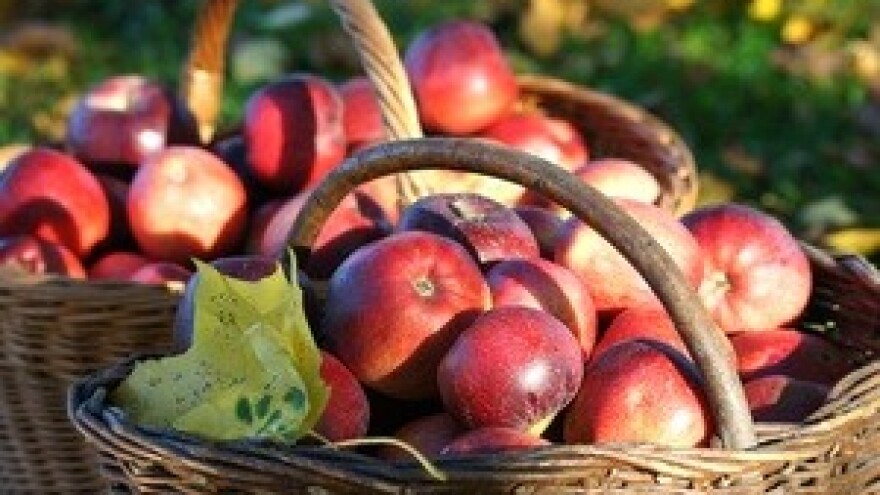 Nova isplata iz IPARD-a