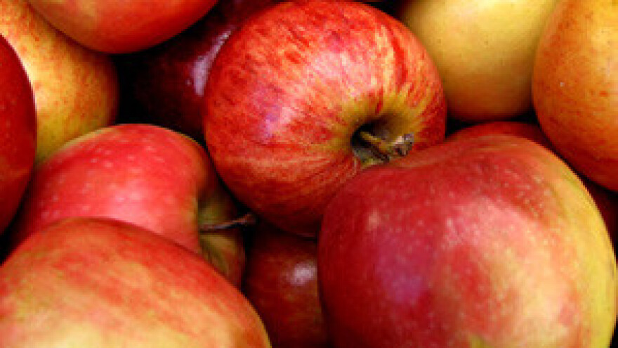 Isplaćeno 790 tisuća kuna za još jedanzavršeni IPARD projekt