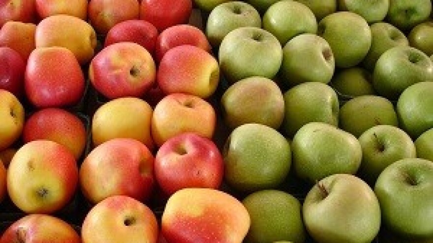 Rekordna proizvodnja jabuka - no što s njima?