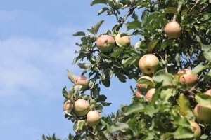 Ostvarite popust na zaštitnim sredstvima