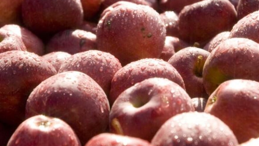 Grivičić: Carina taji podatke o uvozu hrane