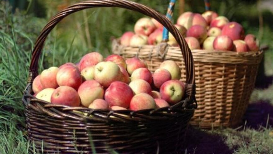 Voćarski međunarodni sajam u Donjem Kraljevcu