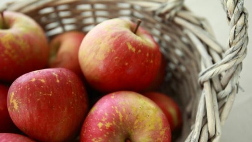 "Dan voćarstva" Poljoprivrednog instituta Osijek