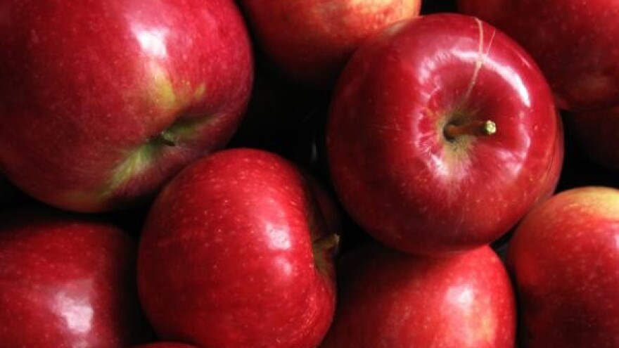 Održan Dan voćarstva Poljoprivrednog Instituta Osijek