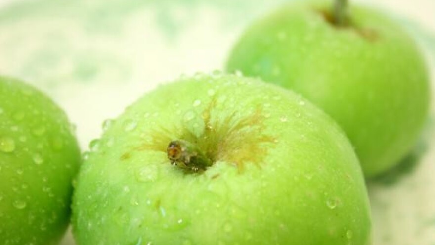 Jabučini dani 2010. u Đakovu