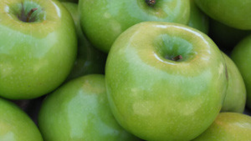 Izložba "Jabučini dani" u Đakovu