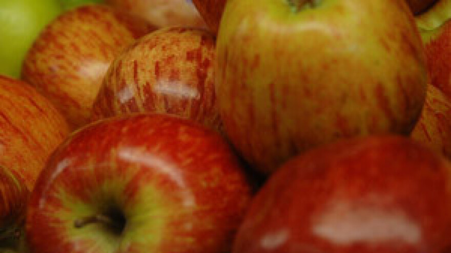 15. dani jabuka u Požegi